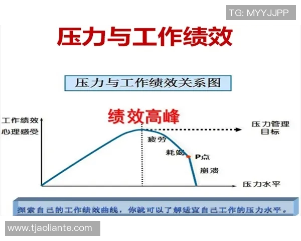 上海排球队个人能力引发热议球员表现与团队协作的深度探讨