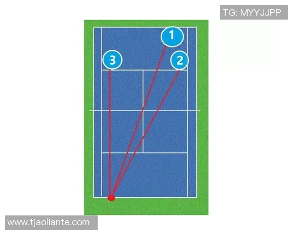 北京网球队选拔赛战术分析与表现评估探讨