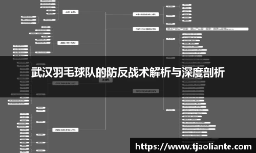 武汉羽毛球队的防反战术解析与深度剖析